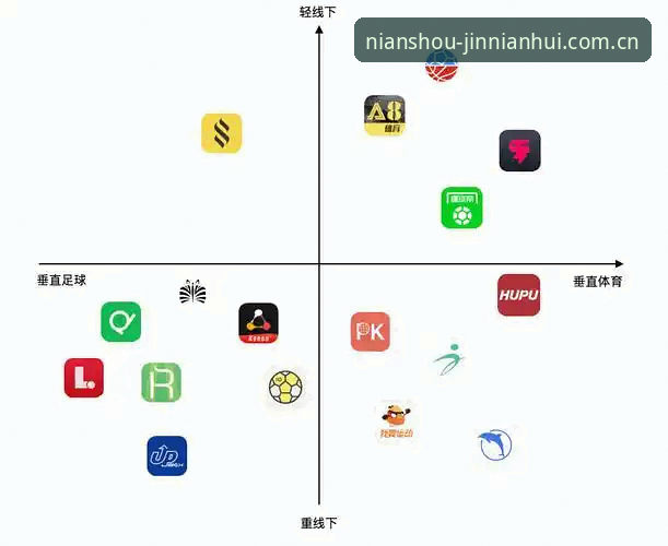 金年汇平台登录常见问题 金年汇平台登录常见问题实用指南:从体育场景看移动端体验优化趋势