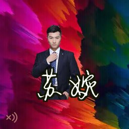 苏婉